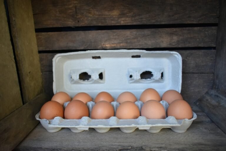 dozen eggs in open carton