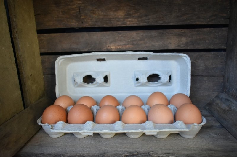 dozen eggs in open carton