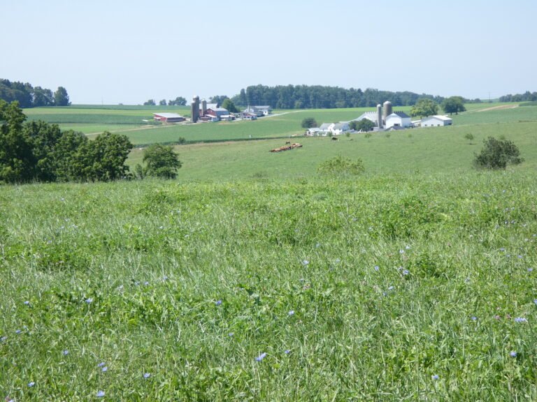 view of the countryside from our back pasture