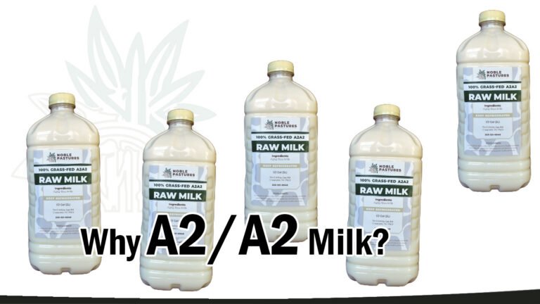 milk jugs of A2 milk and the words Why A2/A2 milk